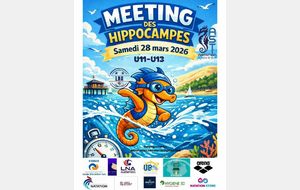 LNA Challenge - Meeting des Hippocampes